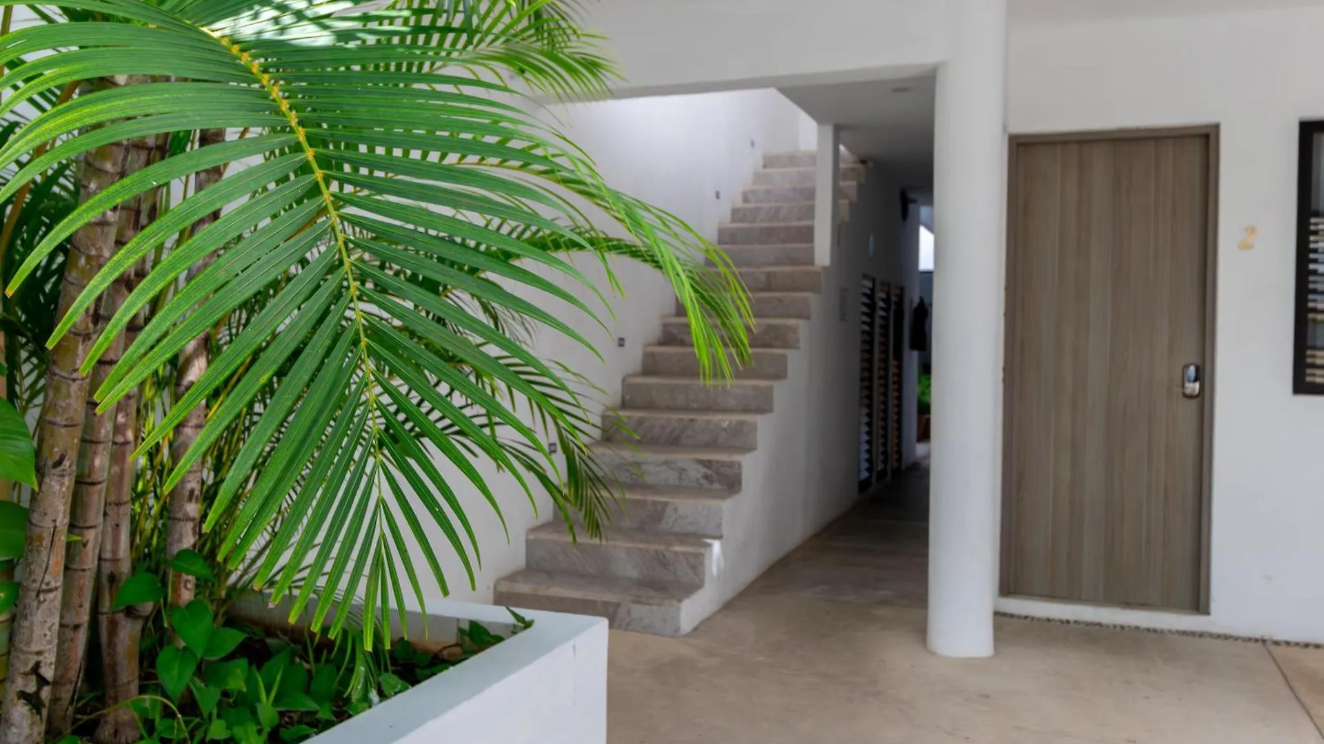 Arkana 9 Suites By Grupo Amber Playa del Carmen